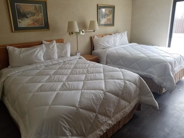 Imagen de la habitación del Hotel Travelodge By Wyndham Welland. Foto 15