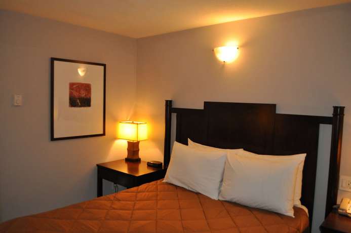 Imagen de la habitación del Hotel Travelodge by Wyndham Langley. Foto 18