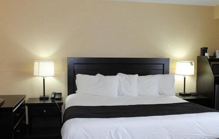 Imagen de la habitación del Hotel Travelodge by Wyndham Sarnia. Foto 7