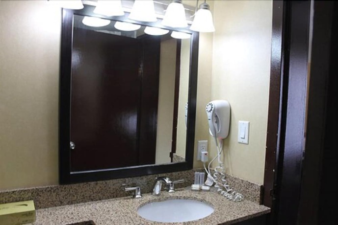 Imagen de la habitación del Hotel Travelodge by Wyndham Sarnia. Foto 11
