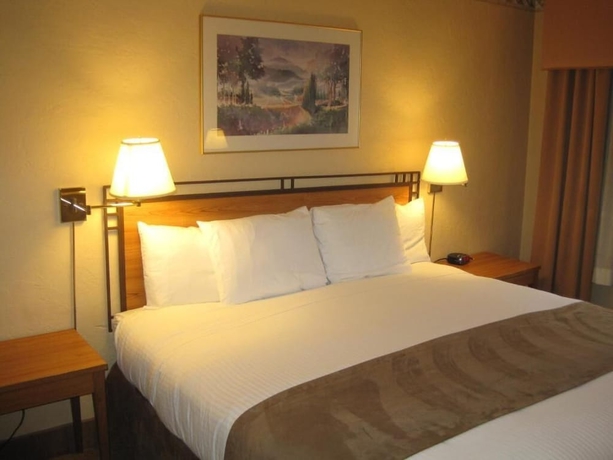 Imagen de la habitación del Hotel Travelodge by Wyndham Seattle By The Space Needle. Foto 6