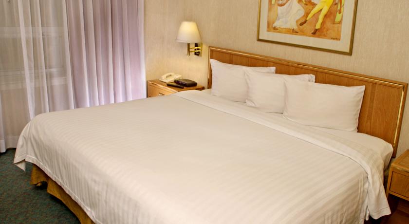 Imagen de la habitación del Hotel Travohotel Monterrey Histórico. Foto 4