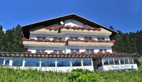 Imagen general del Hotel Tre Pini. Foto 1
