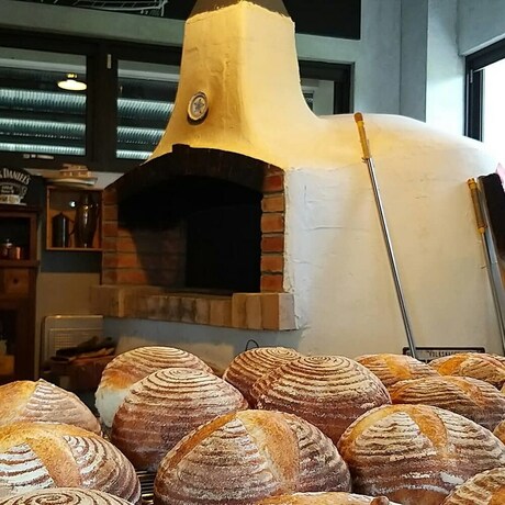 Imagen de la habitación del Hotel Tree Inn. Foto 11