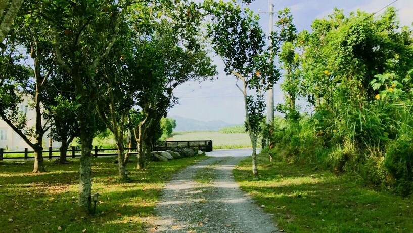 Imagen de los exteriores del Hotel Tree Inn. Foto 13