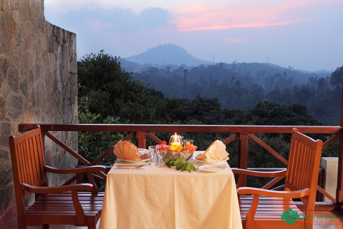 Imagen de la habitación del Hotel Tree Of Life Nature Resort. Foto 8