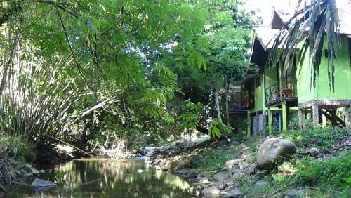 Imagen de la habitación del Hotel Tree Tops River Huts. Foto 4