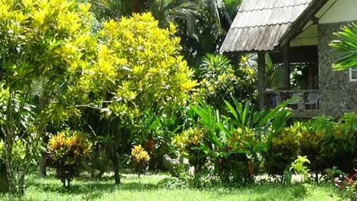 Imagen de la habitación del Hotel Tree Tops River Huts. Foto 9