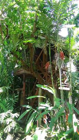 Imagen de la habitación del Hotel Tree Tops River Huts. Foto 13