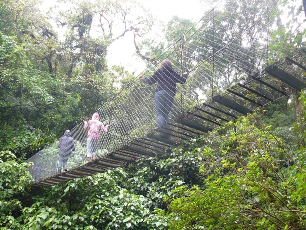 Imagen general del Hotel Tree Trek Boquete Adventure Park. Foto 1