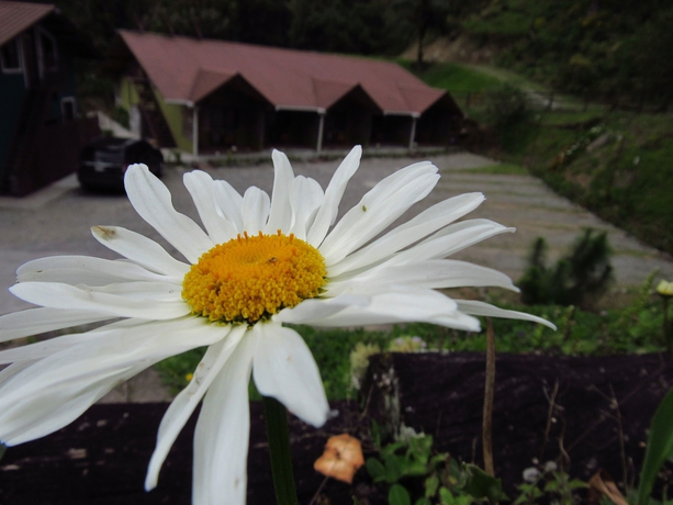 Imagen de los exteriores del Hotel Tree Trek Boquete Adventure Park. Foto 10