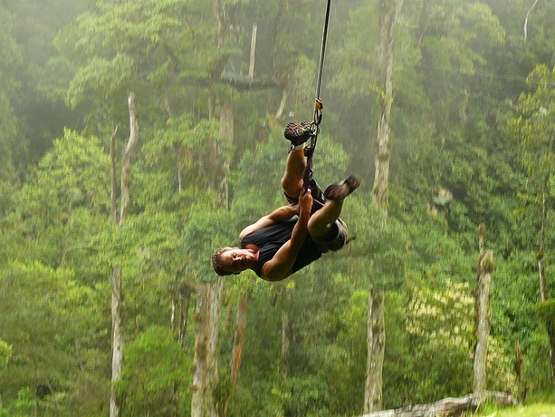 Imagen general del Hotel Tree Trek Boquete Adventure Park. Foto 3