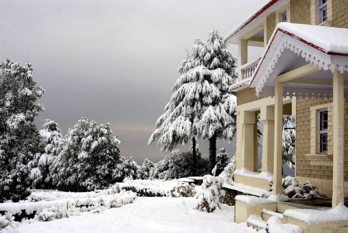 Imagen general del Hotel Tree of Life Grand Oak Manor, Binsar Wildlife Sanctuary. Foto 1