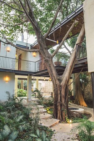 Imagen general del Hotel TreeHouse Boutique. Foto 1