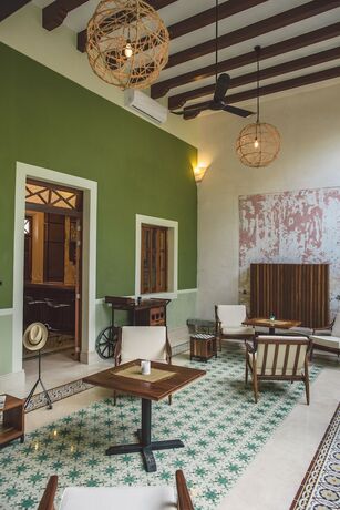 Imagen general del Hotel TreeHouse Boutique. Foto 9