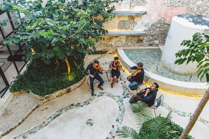 Imagen general del Hotel TreeHouse Boutique. Foto 12