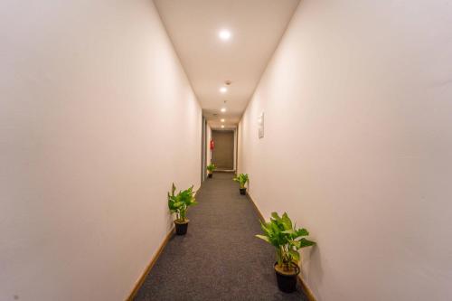 Imagen general del Hotel Treebo Premium Inn. Foto 17