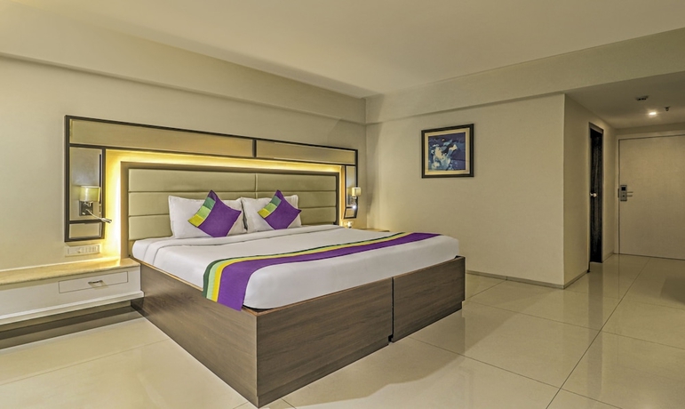 Imagen de la habitación del Hotel Treebo Premium Metropolis. Foto 11