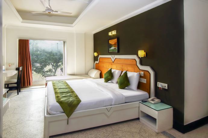 Imagen de la habitación del Hotel Treebo Trend Green View. Foto 3