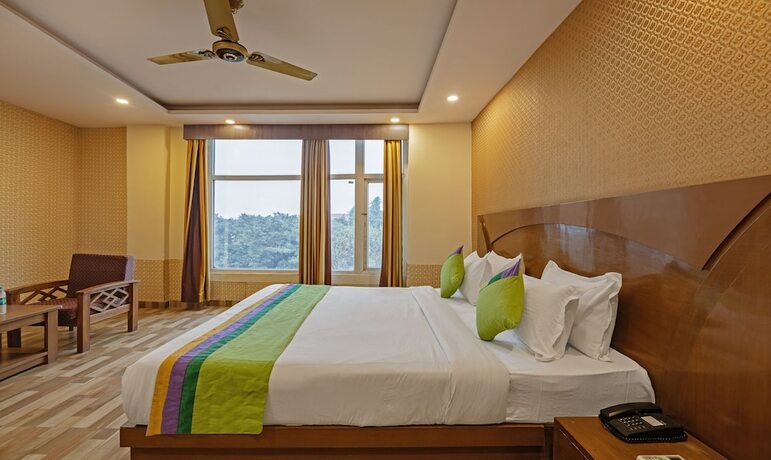 Imagen de la habitación del Hotel Treebo Trend Green View, Noida. Foto 15