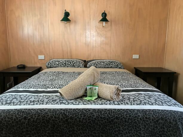 Imagen general del Hotel Treehaven Tourist Park. Foto 5