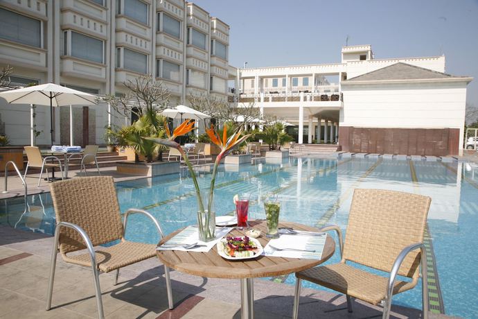 Imagen de la piscina del Hotel Treehouse Club And Spa. Foto 16