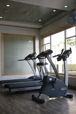 Imagen de los interiores del Hotel Treehouse Club And Spa. Foto 10