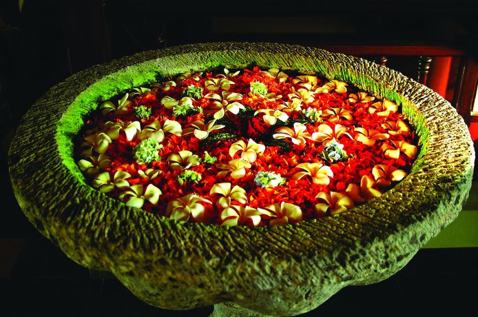 Imagen de los interiores del Hotel Treehouse Club And Spa. Foto 12