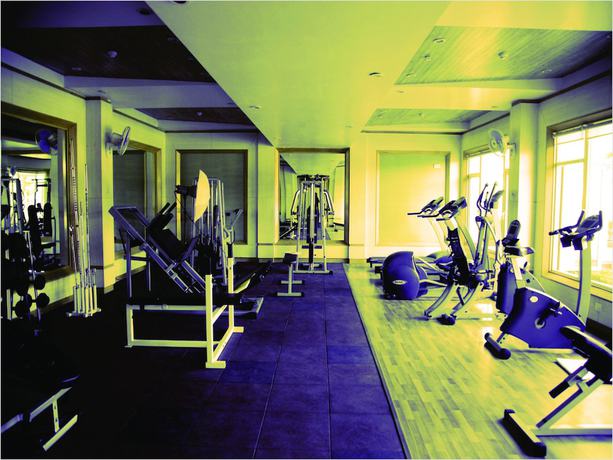 Imagen de los interiores del Hotel Treehouse Club And Spa. Foto 15