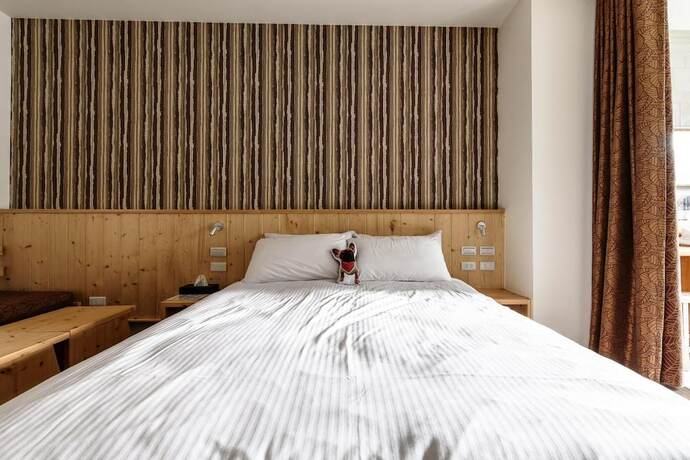 Imagen general del Hotel Treehouse Hostels. Foto 9