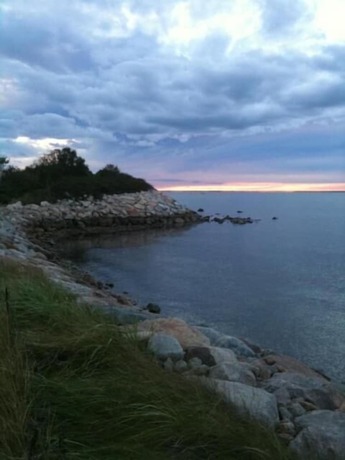 Imagen general del Hotel Treehouse Lodge, Woods Hole. Foto 2