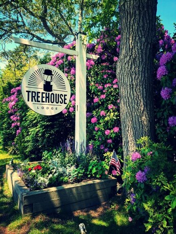 Imagen general del Hotel Treehouse Lodge, Woods Hole. Foto 15