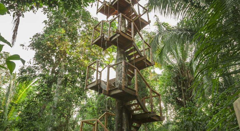 Imagen de los interiores del Hotel Treehouse Lodge, Yucuruchi. Foto 10