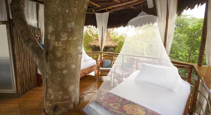 Imagen de la habitación del Hotel Treehouse Lodge, Yucuruchi. Foto 5