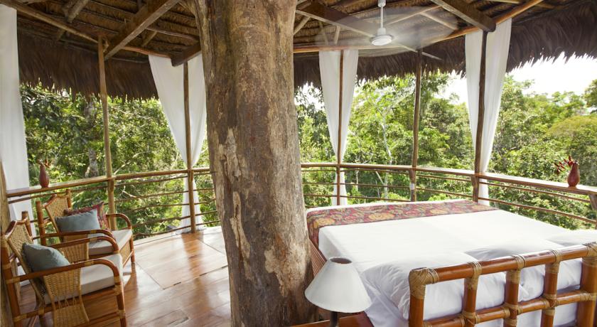 Imagen de la habitación del Hotel Treehouse Lodge, Yucuruchi. Foto 6