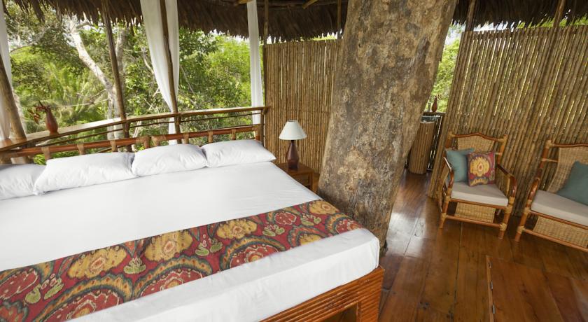 Imagen de la habitación del Hotel Treehouse Lodge, Yucuruchi. Foto 7