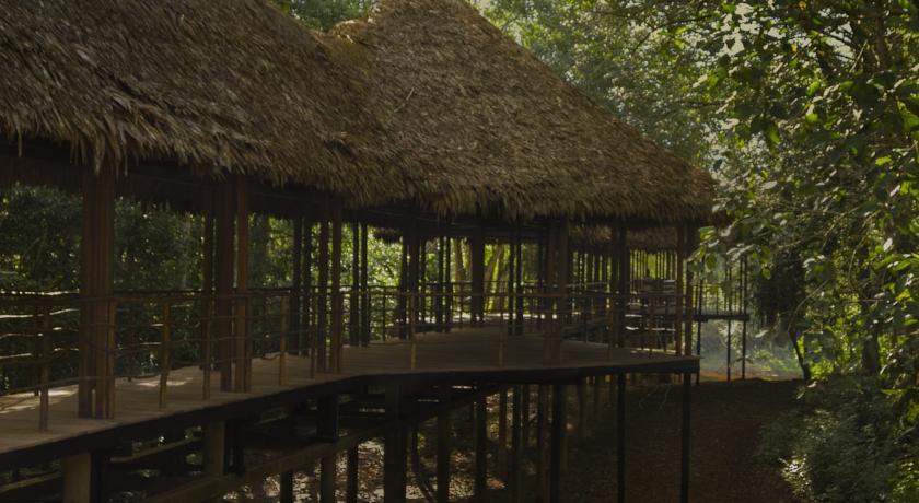 Imagen de los interiores del Hotel Treehouse Lodge, Yucuruchi. Foto 12