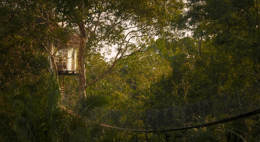 Imagen de los interiores del Hotel Treehouse Lodge, Yucuruchi. Foto 13