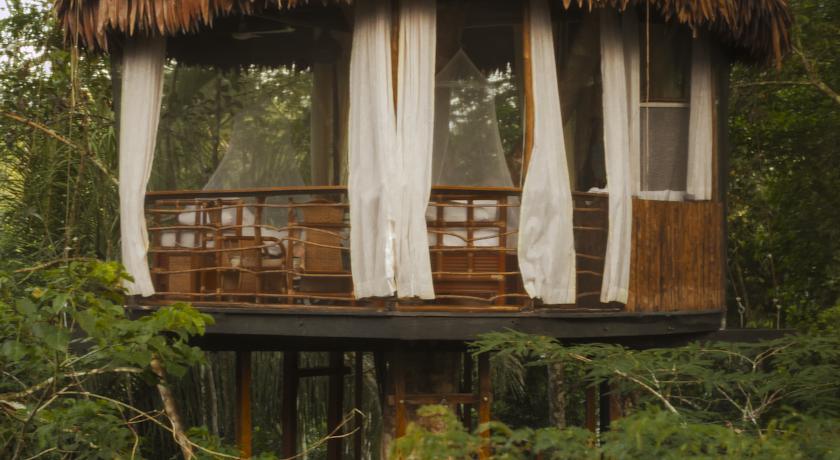 Imagen de los interiores del Hotel Treehouse Lodge, Yucuruchi. Foto 14