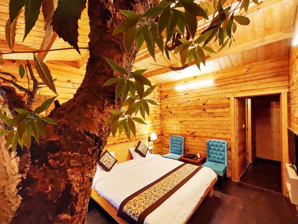 Imagen de la habitación del Hotel Treehouse Resort. Foto 14