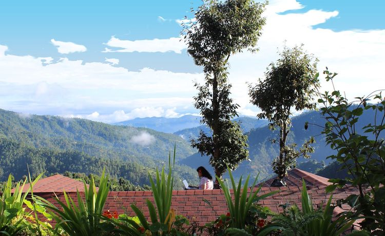 Imagen general del Hotel Treehouse Resort. Foto 6