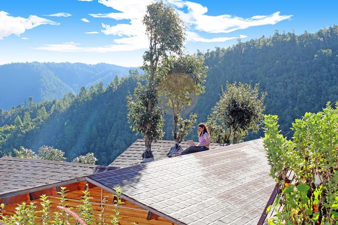 Imagen general del Hotel Treehouse Resort. Foto 9