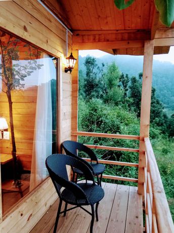 Imagen general del Hotel Treehouse Resort. Foto 12