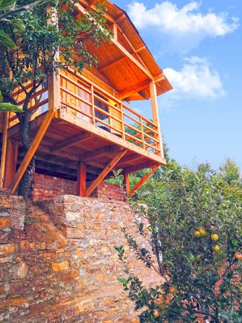 Imagen general del Hotel Treehouse Resort. Foto 13