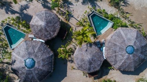 Imagen general del Hotel Treehouse Villas - Adults Only. Foto 3