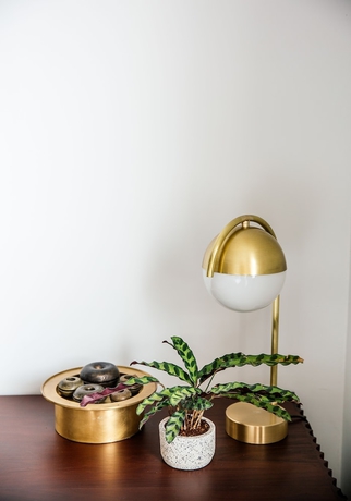 Imagen de la habitación del Hotel Treeline Urban Resort. Foto 11