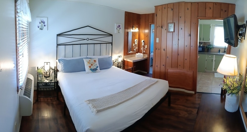 Imagen de la habitación del Hotel Trees Motel. Foto 4