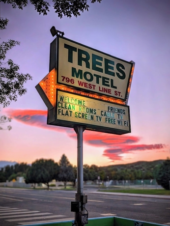 Imagen general del Hotel Trees Motel. Foto 1