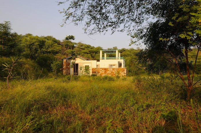 Imagen de la habitación del Hotel Trees and Tigers. Foto 5