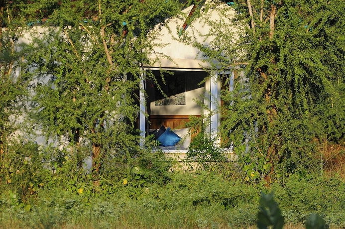 Imagen de la habitación del Hotel Trees and Tigers. Foto 15